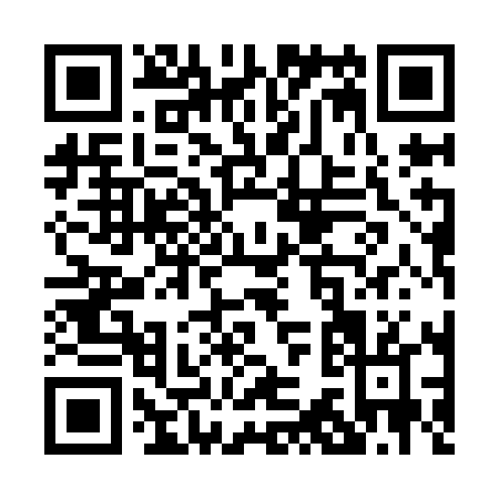 QR code for P319L