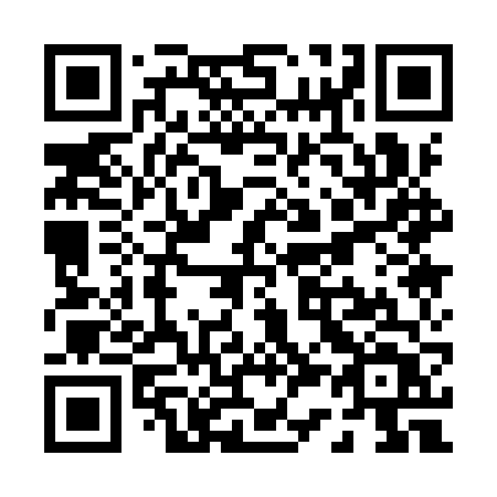 QR code for P319VT
