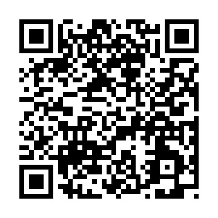 QR code for P323E