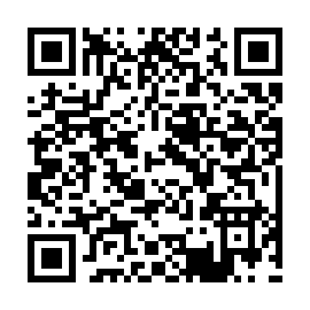 QR code for P323Y