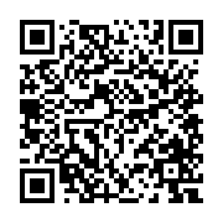 QR code for P325X
