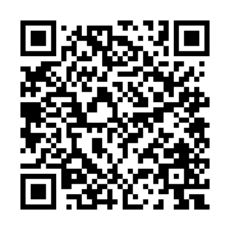 QR code for P326E