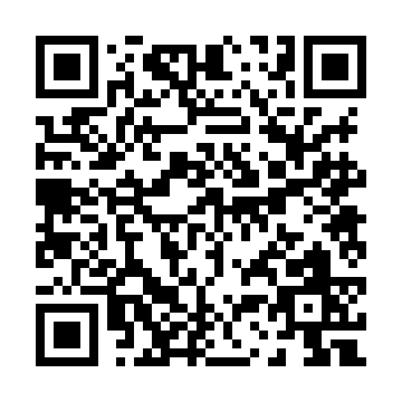 QR code for P328C