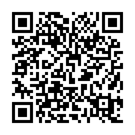 QR code for P329VI