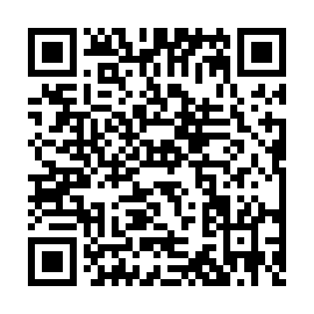 QR code for P330A