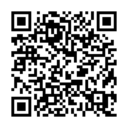 QR code for plate P33 0FC