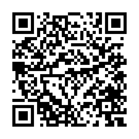 QR code for P330L