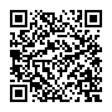 QR code for P331Q