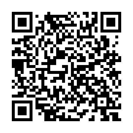 QR code for P333BM