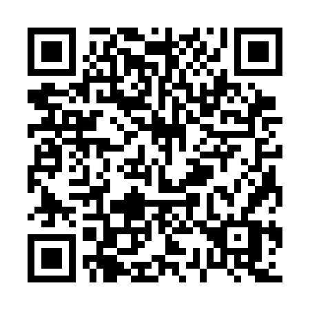 QR code for P333FV
