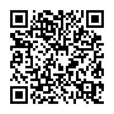 QR code for P333IA