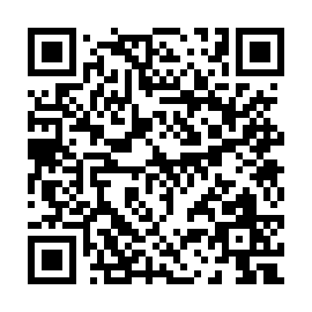 QR code for P334S