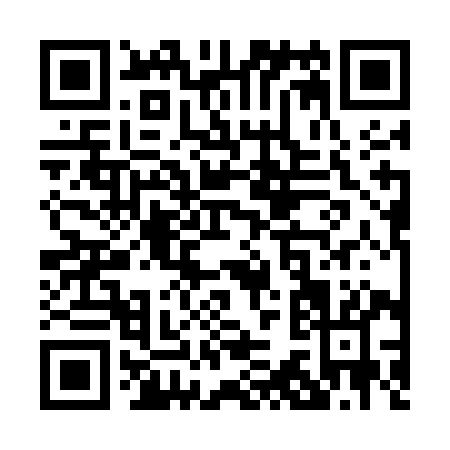 QR code for P335I
