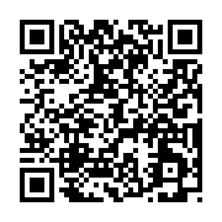QR code for P336E