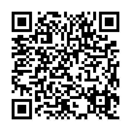 QR code for P336J