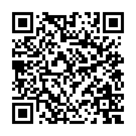 QR code for P336K
