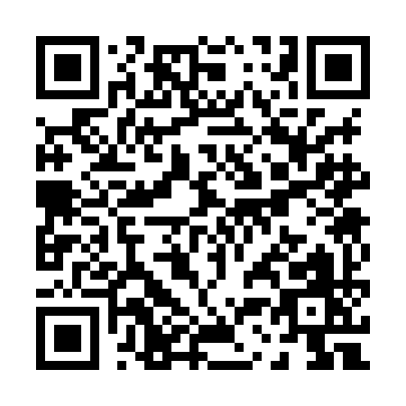 QR code for P338I