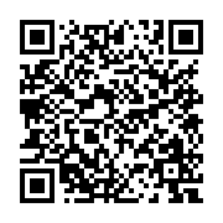 QR code for P338Q