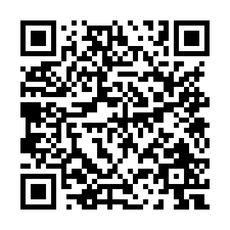 QR code for P338R