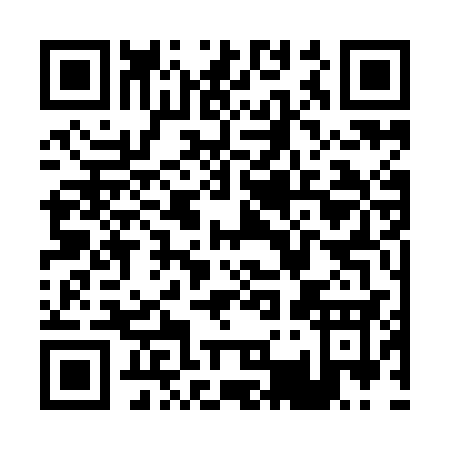 QR code for P339C