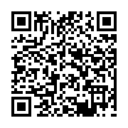 QR code for P339O