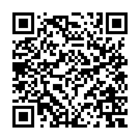 QR code for P339W