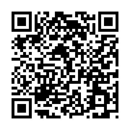 QR code for P341P