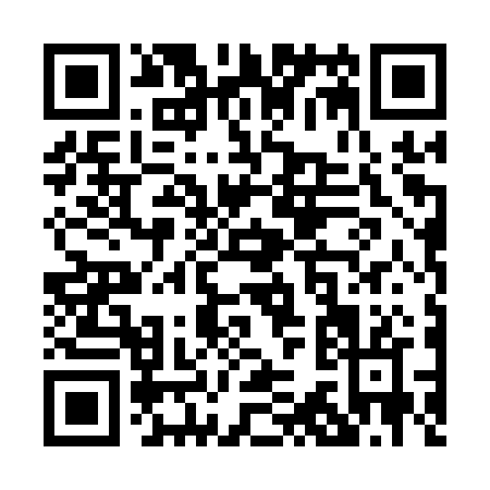 QR code for P341R
