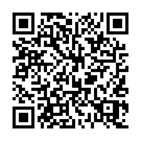 QR code for P341UP