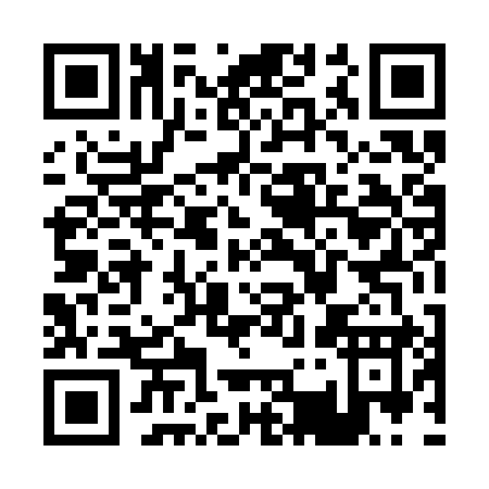 QR code for P343Y