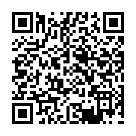 QR code for P346X