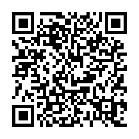 QR code for P349CI