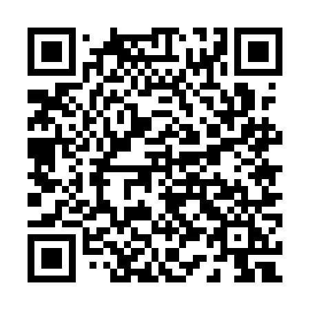 QR code for plate P35 1NI