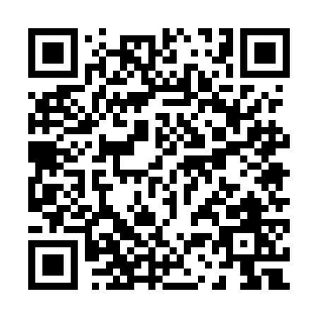 QR code for P355G
