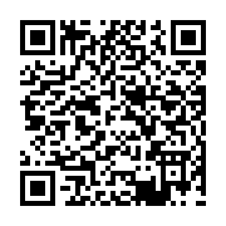 QR code for P357G