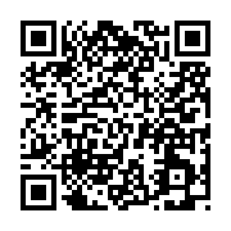 QR code for P358G