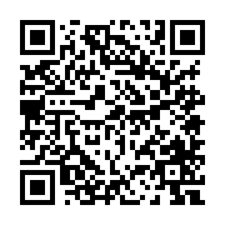 QR code for P358H