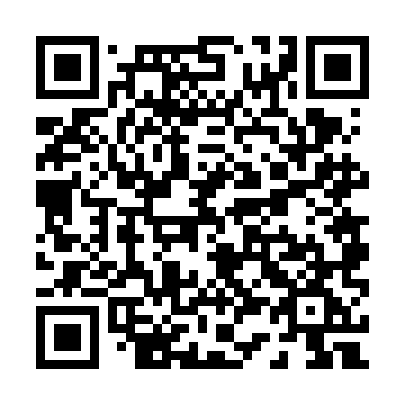 QR code for P36 6MG