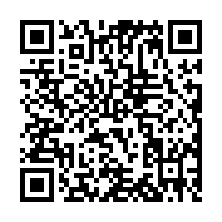 QR code for P361I