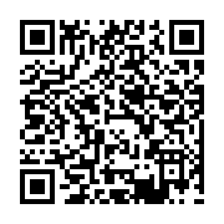 QR code for P361X