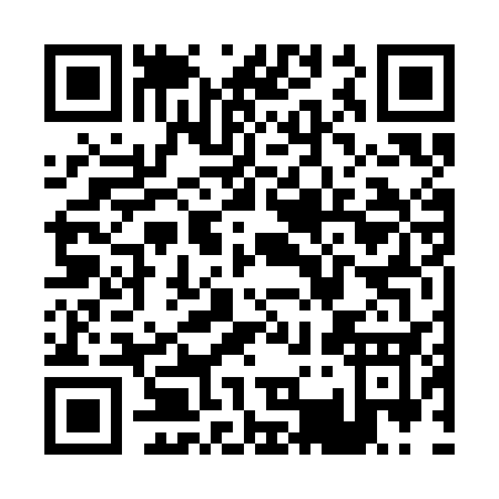 QR code for P363C