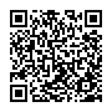 QR code for P365JV