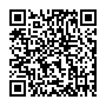 QR code for P365T