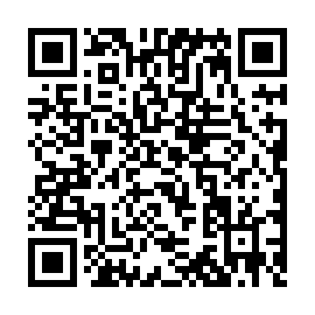 QR code for P368D
