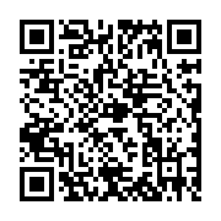 QR code for P369D