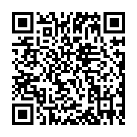 QR code for P369L