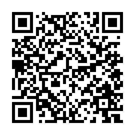 QR code for P370J