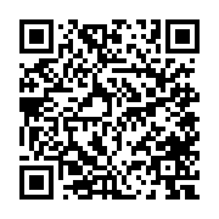 QR code for P374L