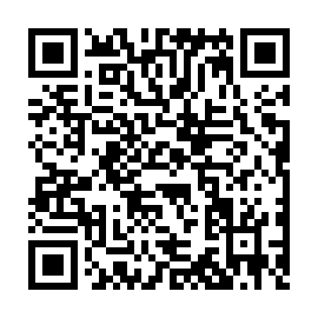 QR code for P375W
