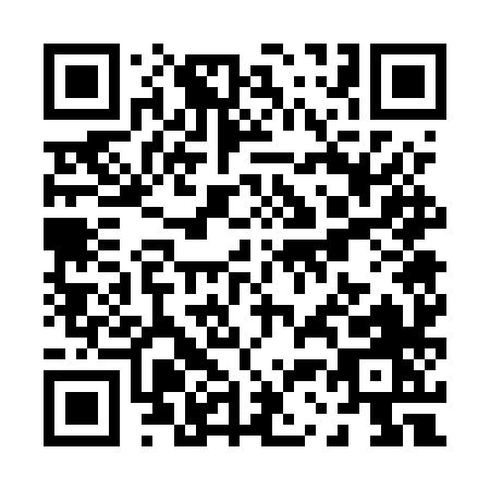 QR code for P375X